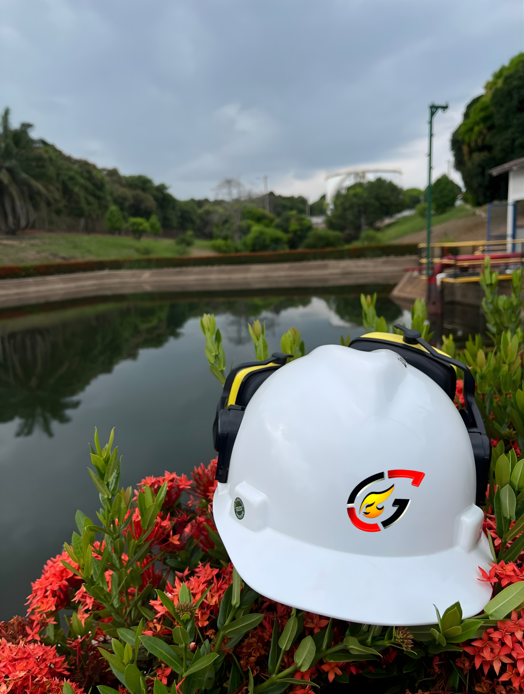 Imagen de renovación del espacio web